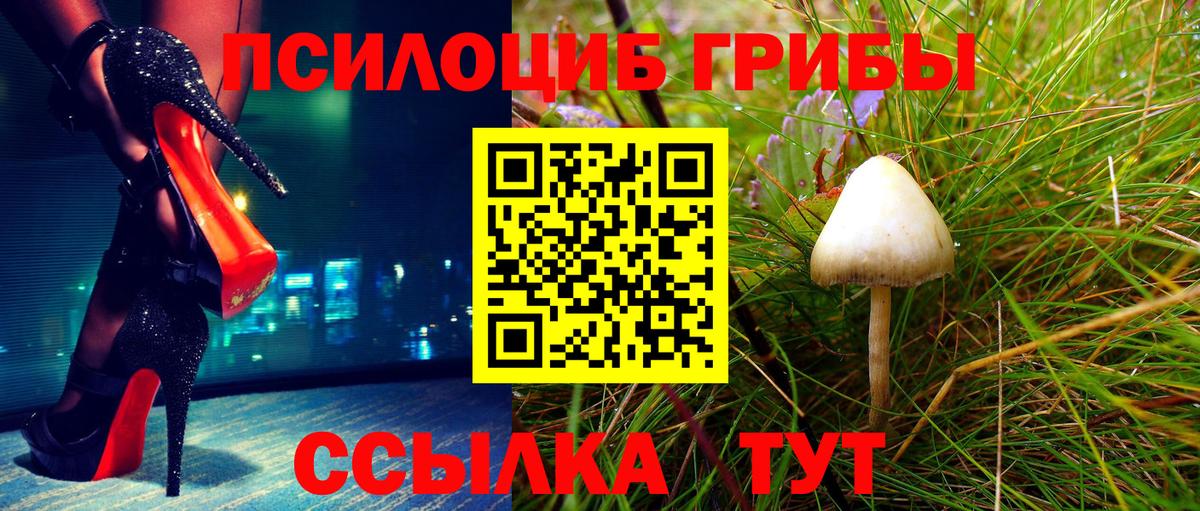 Галлюциногенные грибы Cubensis Кизляр